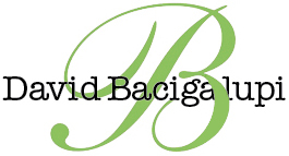 David Bacigalupi
